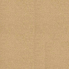 Ковролин Radici Abetone Straw 4978 фото 1 | FLOORDEALER